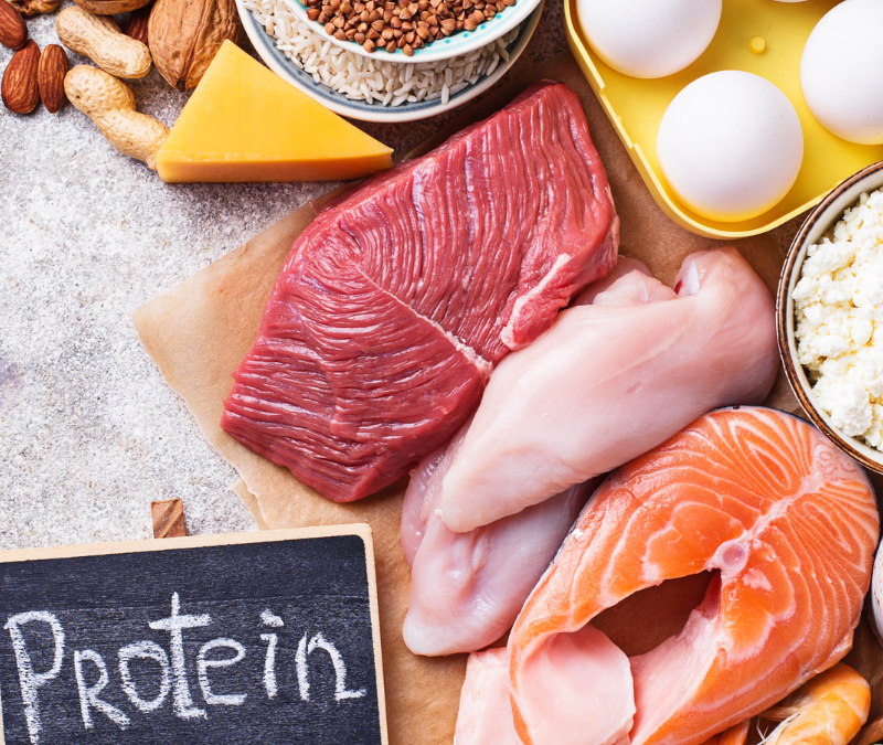 LA IMPORTANCIA DE CONSUMIR PROTEÍNA DURANTE EL EMBARAZO Y LA LACTANCIA